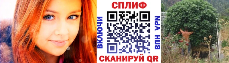 Где купить наркоту Верхний Уфалей КОКАИН  Меф мяу мяу  Галлюциногенные грибы  ГАШИШ  OMG ONION  СОЛЬ 