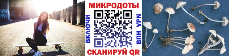 Псилоцибиновые грибы Magic Shrooms  где продают   Верхний Уфалей 